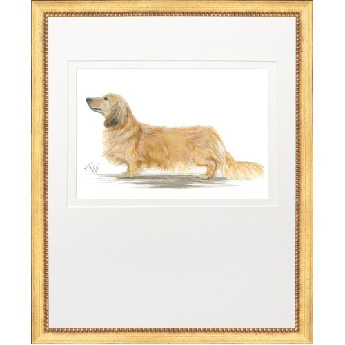 KS- HUNTING DOG 12